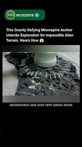 NASA Anchor Grips Impossible Rocks Using Futuristic Alien-Inspired Microspines #nasa #robotics