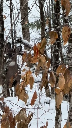 Gary Roberts on Reels