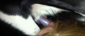 Amateur blondie gets facefucked by her dog