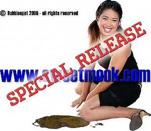 Sweetmook - Mook's Diary