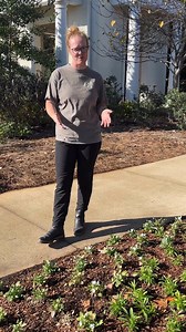 Why are we replacing the annuals? #hsvgarden #garden #gardening | Huntsville Botanical Garden