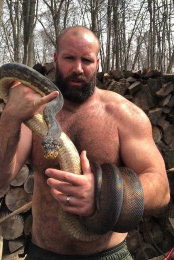 Natures Animal pet python 🐍 #snake #petsnake #animal #mountainman #foryourpage