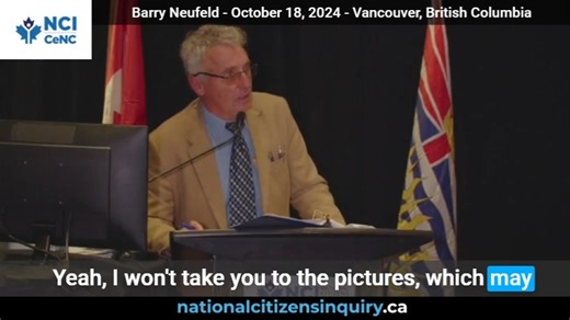 Double Standards: From Hannah Montana to Trustee Controversy "Miley Cyrus was seriously criticized for appearing naked on a wrecking ball as being a bad influence for Children... but when this trustee hopeful appears naked on a wrecking ball and makes other lurid videos she's lionized as being libertine and free spirited and fun to be with. And she gets elected." Barry Neufeld - October 18, 2024 - Vancouver, British Columbia Barry Neufeld, a former probation officer and former Chilliwack, B.C. s