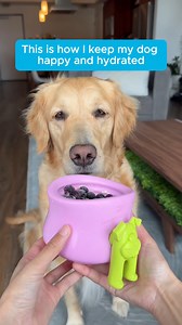 When it’s too hot for fetch, the West Paw Toppl is the coolest way to keep your pup enriched and hydrated—just fill it with dog safe ingredients, some water, & freeze! 🐾❄️💧 #DogEnrichment #WestPaw #DogParents #DogToyReview #dogmemesdaily | WEST PAW