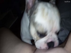 K9 goddess, watch my pup 🐶 eat me good 💦🤤