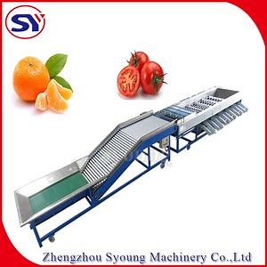 [Hot Item] Citrus Fruits Sorting Machine and Fruit Sorter for Orange/Dragon Fruit Selection Machine