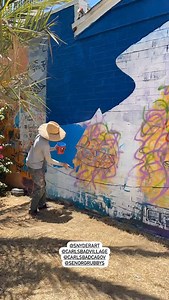 Visit Carlsbad on Reels