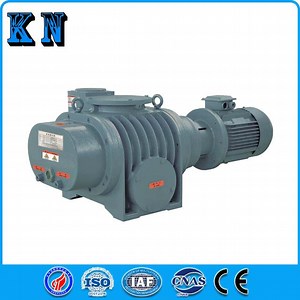 [Hot Item] Explosion-Proof and Corrosion-Resistant Two-Stage Roots Vacuum Pump for Chemical Industry