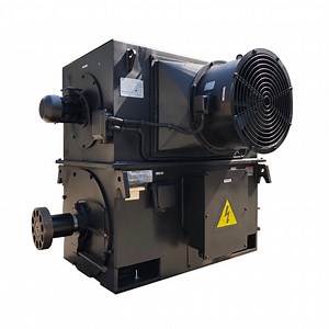 [Hot Item] Totally Enclosed High Voltage Electric Motor 3kv/6kv Three Phase AC Electric Motor