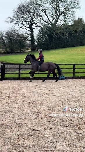 Bareback Riding Experience: Learning with Libby Partridge