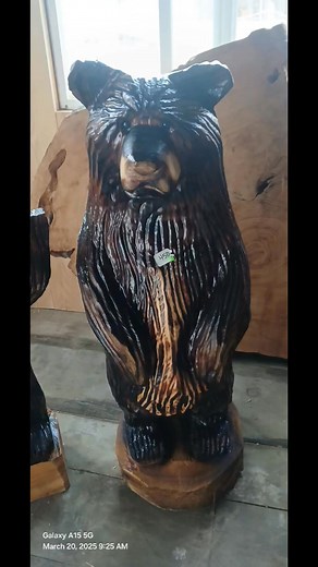 Backyard Bears Chainsaw Carving on Reels