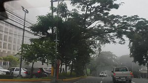 Fog in Tagaytay now 😌 | Happy and Busy Travels