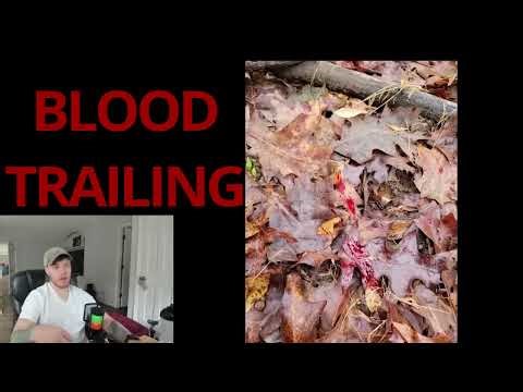 New Deer Hunters Guide - How to Blood Trail Animals - Tips & Mistakes to Avoid