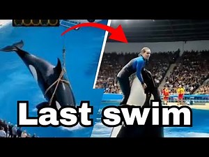 The shocking truth of Orca Trainer Jessica Radcliffe