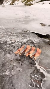 How to cook bonito #cooking #food #eat #eating #relax #nature #natural. | Kasnaty Sugar