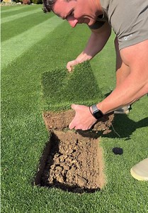 How to Fix Bare Spots in Your Lawn