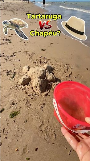 Turtle or Hat? 🐢👒 #challenge #commentandu #challenge #experiment