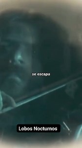 8K views · 224 reactions | Lobos Nocturnos on Reels | Facebook