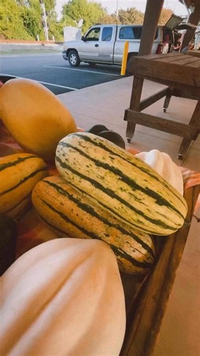 勒 Happy Friday from the MC/DF Market! We’ve got fresh peaches, okra, peas, tomatoes, squash, apples, and so much more today! 凌Plus—don’t miss out on sourdough bread 稜, yummy freeze dried treats , and handmade soaps & lotions 識林.Come see us this morning and take home something fresh and fun!  | Morgan County/Decatur Farmers Market | Facebook