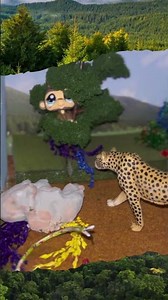 Sophia macuixtle Cheetah habitat diorama