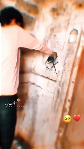 Biswas 🥺 Odia Sad Status Video 😭 Odia Sad Song Status 😥 Instagram Status Video 😭 #shorts