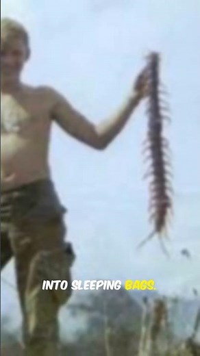 Creepy Crawlies of the Vietnam War #shorts #history #vietnamwar