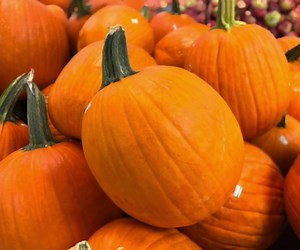 Through the rest of October, Shady Maple Rewards shoppers get a FREE pumpkin when spending $75 or more! 🎃 Rewards cards are available at no cost at customer service. | Shady Maple Farm Market
