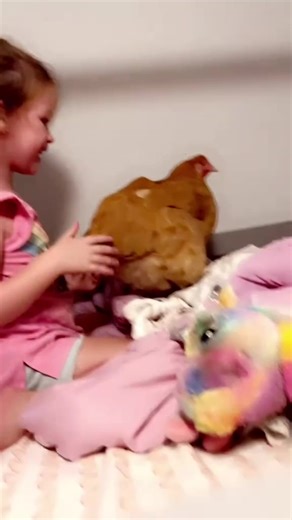 10K views · 31 reactions | Mother Hen and her chicken getting ready for bed #chicken #motherhen #kids #kidsclub | Reader's Digest | Facebook