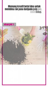 Sesuai untuk pasu yang agak kecil dan ringan. Caranya mudah, kos rendah dan sesuai untuk laman yang sempit Klik link untuk artikel penuh: https://sinarplus.sinarharian.com.my/lifestyle/penuhi-permintaan-isteri-lelaki-ini-diy-rak-pasu-bunga-guna-paip-pvc-je-simple-cantik-jimat-ruang/ #ilhamdekor #paippvc #rakpasu #pasubunga #DIY #Tipberkebun #sinarplus | sinarplus | Facebook