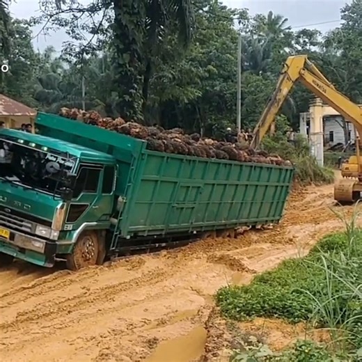 125K views · 1.2K reactions | Truck Tilts And Sinks Excavator Has Difficulty Towing Part 2 #STUCK #slippery #slipperyslope #mudding #mud #trucking #truckdriver #offroadracing #offroadtrip #offroadadventure #offroadtrucks #offroading | Trojen Ranjo | Facebook