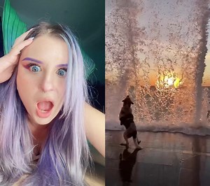 #duet with @safarov_elman this is so MAGIC #SoundcoreGoForGold #mermaid #mermaids #animalsoftiktok #animals #react #ocean