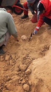 60K views · 798 reactions | #history #Mystery #Archaeology | Ancient Civilizations Unearthed | Facebook