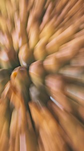 89 reactions | あなたのための贅沢な空間を醸し出す。詳細はWebにて。 | メルセデス・ベンツ日本／Mercedes-Benz Japan | Facebook