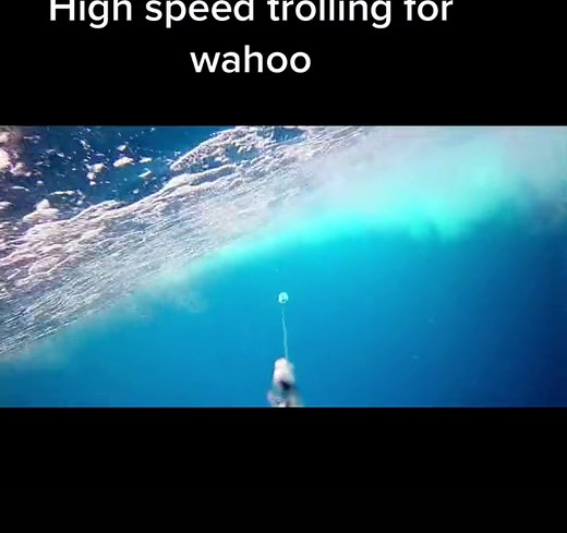 Deepwaterlegends on TikTok