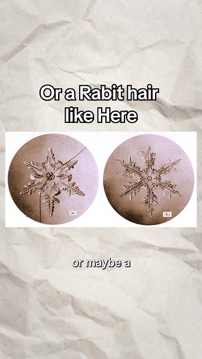 Are There Two Identical Snowflakes?