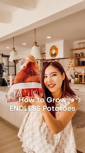 This cardboard box method has been the easiest and most successful way to grow potatoes so far! ☺️ Comment "LINK" for my favorite gardening supplies, as well as my 30-week devotional called The Abundant Life Journal. I designed this journal to help calm your nervous system with gorgeous artworks, guided prayers, and beautiful DIY projects. Grab your copy for under $15 this new year! ❤️ | Girl & The Word - DIYs & Makeovers