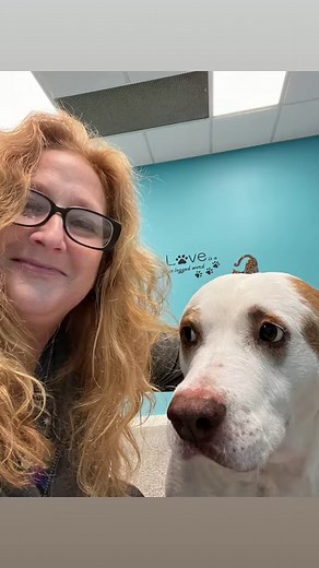 Humane Society of Noble County, Inc., Indiana on Reels