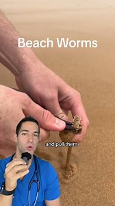 915K views · 12K reactions | Only in Australia  #beachworms #sandworm #safety #australia | Doctor Myro | Facebook