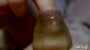 Amazing Tongue Studies my Foreskinday 3 BJ Foreskin Month Marathon dickforlily porn imagefap