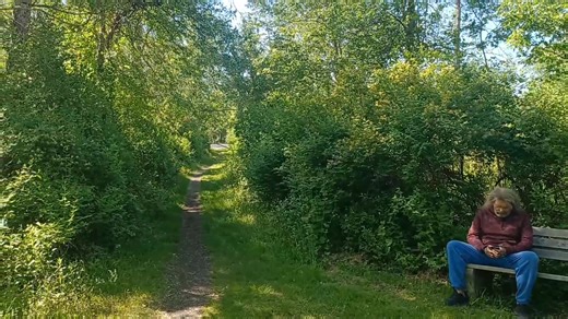 4K views · 119 reactions | History at Warbasse Junction, Sussex County NJ | Metrotrails | Facebook