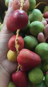 Ready kurma muda 2 warna merah ❤️ ijo  Pembelian hub ...