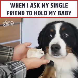 773K views · 11K reactions | Just for a second. | Scary Mommy | Facebook