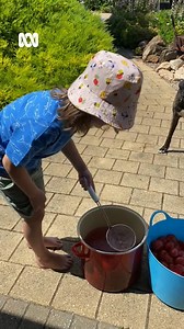 🍅🧑‍🍳 Homemade Passata 🍅🧑‍🍳 Make the most of peak tomato season with chef David Lovett's recipe for Passata, a traditional and versatile staple of Italian cuisine. "With tomatoes in abundance and eating beautifully I thought we’d seize the moment and trap that goodness into jars. Making passata is a great activity to do with the family. As you can see from the video, my son Lennox rather liked it and took control of proceedings. A food mill or tomato press are handy for this but you can als