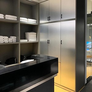 [Hot Item] Debo Wood Metal Finish Lockers for Changing Room Staff Gym School Lockers