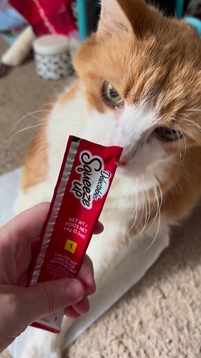 3.9K views · 421 reactions | Licky treat life.#cat #cats #catslover #catlove #catlife #lovecats #yummy #cute #cutecat #catsofinstagram #kitty #kittycat #catsagram #cats_of_world #catoftheday | Butters | Facebook