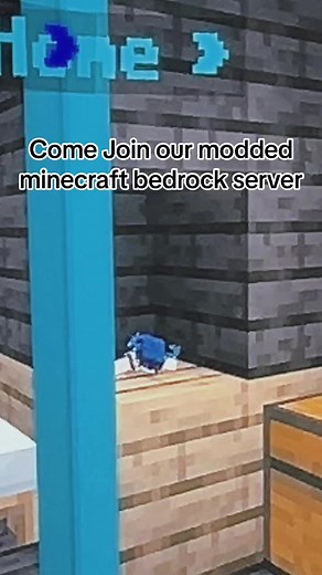 Terrraphin on TikTok