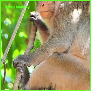 Lots of Love and Kisses from Mom! Kissing baby newborn so much from heart! | RESEP Monkey