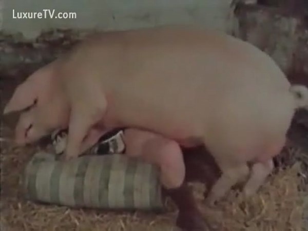Horny farm wife and animal
