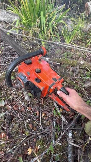 Echo 701S VL Chainsaw