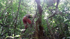 How I Made Working Sandals Using Only Primitive Tools